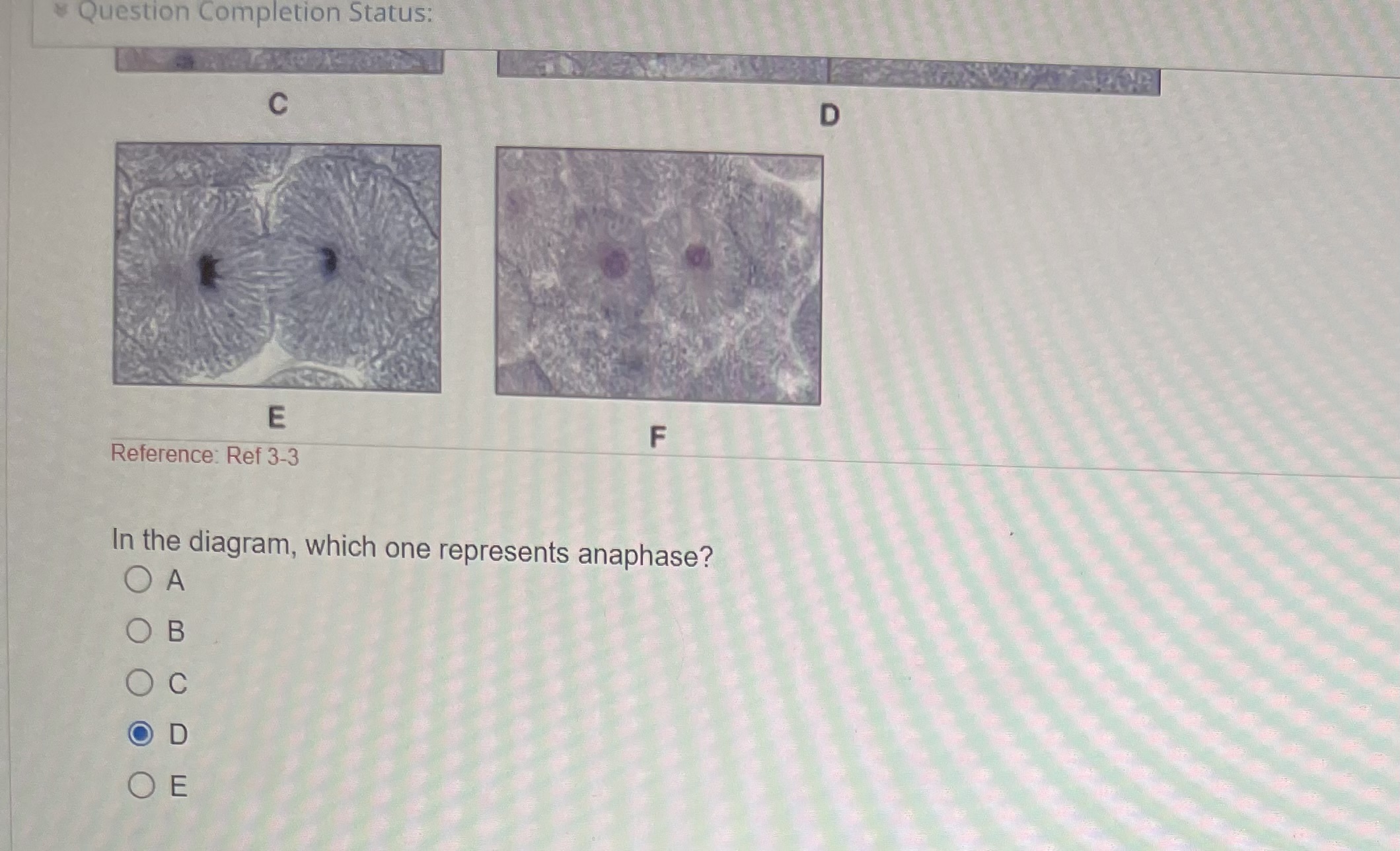 Solved A C E B F Reference: Ref 3-3 In the diagram, which | Chegg.com