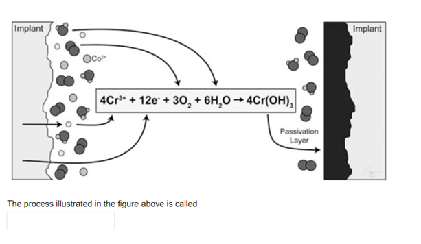 Solved The process illustrated in the figure above is called | Chegg.com