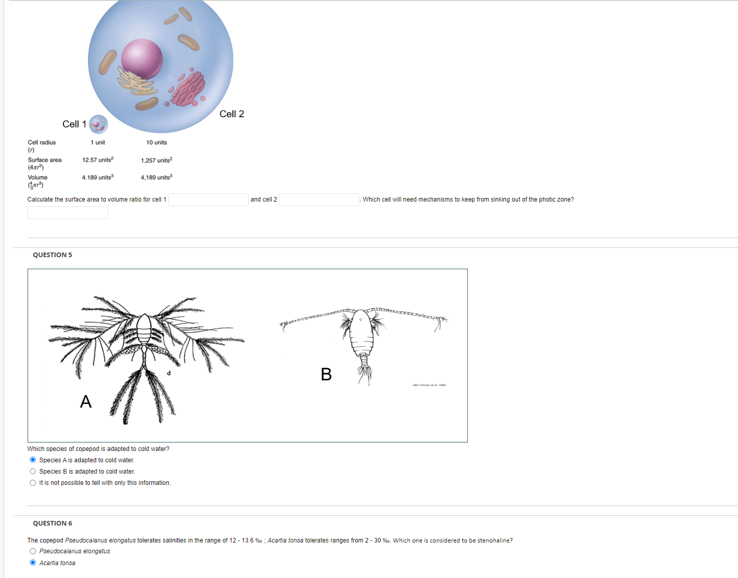 solved-calculate-the-surface-area-to-volume-ratio-for-cell-1-chegg