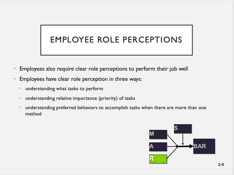 Mars Model of Individual Behavior and Performance