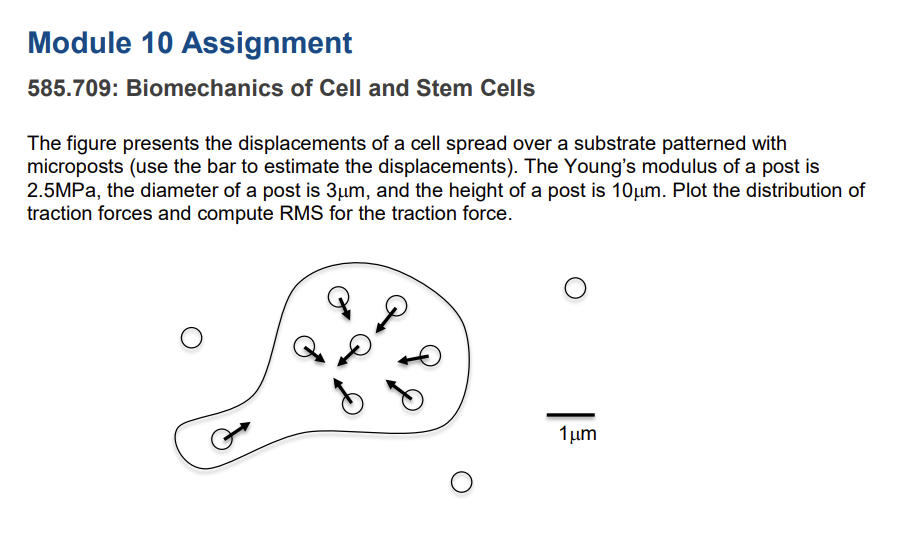 Solved Module 10 Assignment 585.709: Biomechanics of Cell | Chegg.com