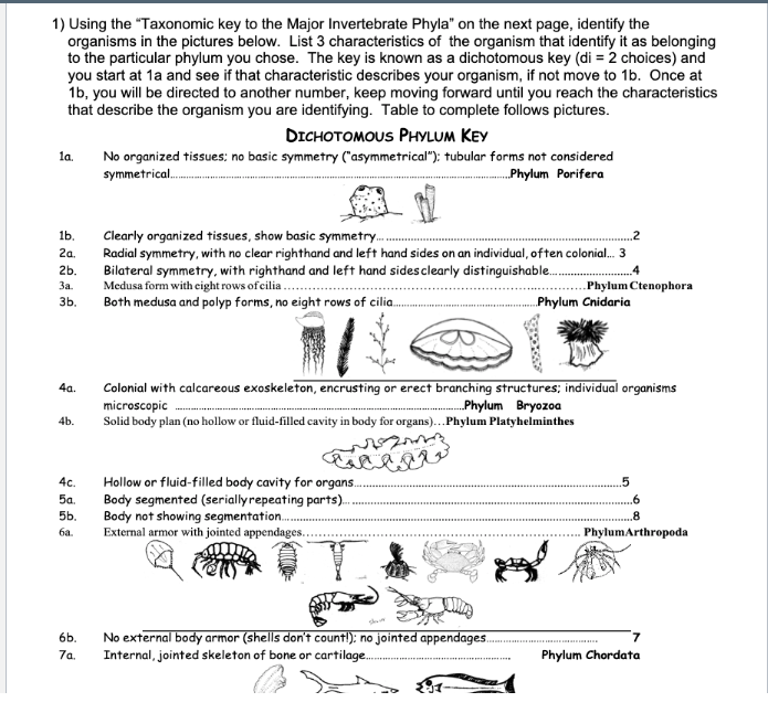 Question: 1) Using The 