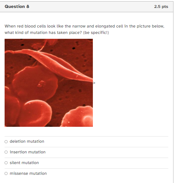 Solved Question 8 2.5 pts When red blood cells look like the | Chegg.com