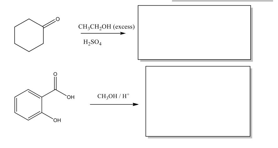 Solved CH3CH2OH (excess) H„SO4 ОН CH3OH/H H* ОН | Chegg.com