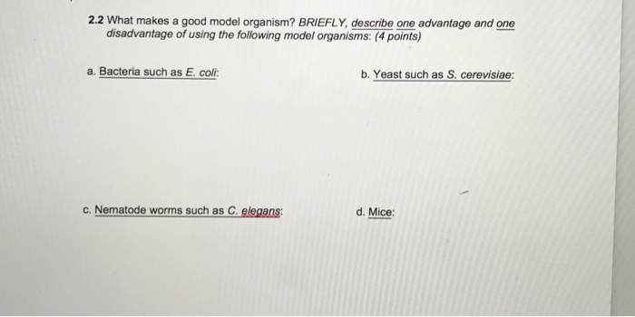 solved-what-makes-a-good-model-organism-briefly-describe-chegg