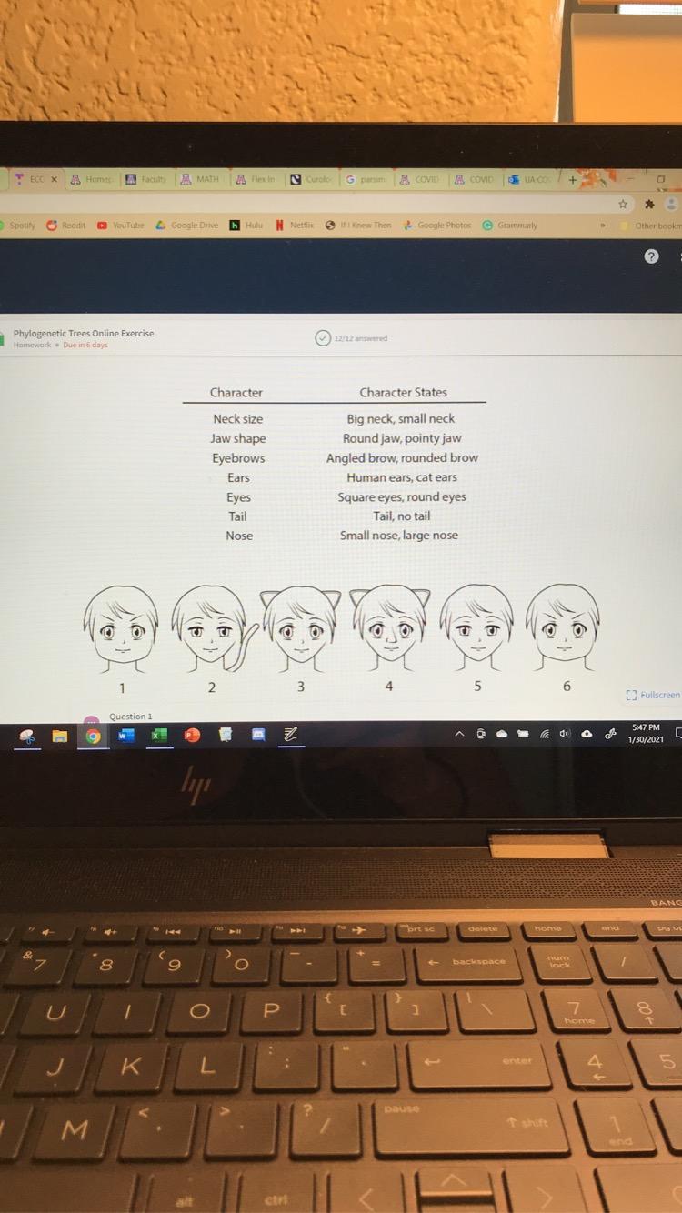 Solved Please Answer The Question In The Second Picture Chegg Com