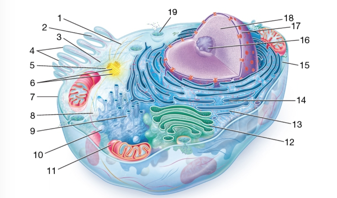 Solved Can you please tell me all the parts in the picture? | Chegg.com