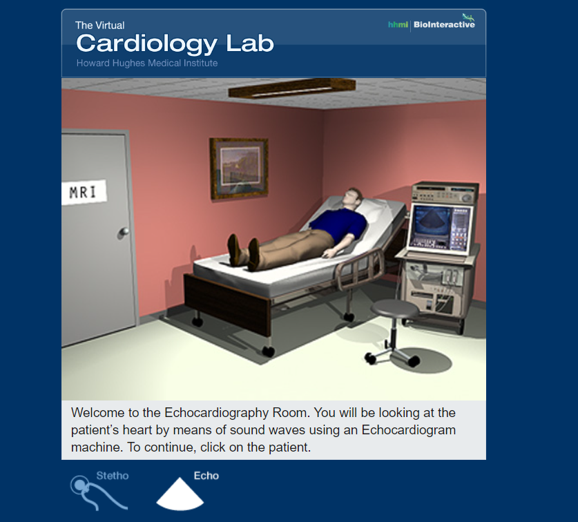 Solved Nelcome to the Echocardiography Room. You will be | Chegg.com