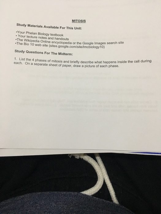 Solved 1. What is the basic structure of all proteins? 2. at | Chegg.com