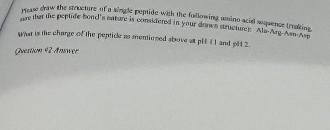 Solved Please draw the structure of a single peptide with | Chegg.com