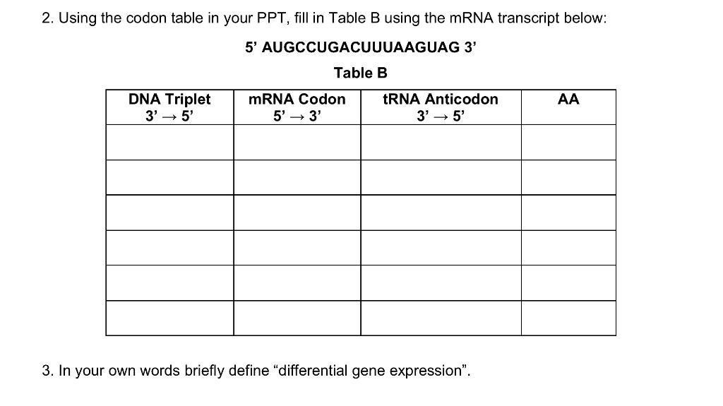 Solved 2. Using the codon table in your PPT, fill in Table B | Chegg.com