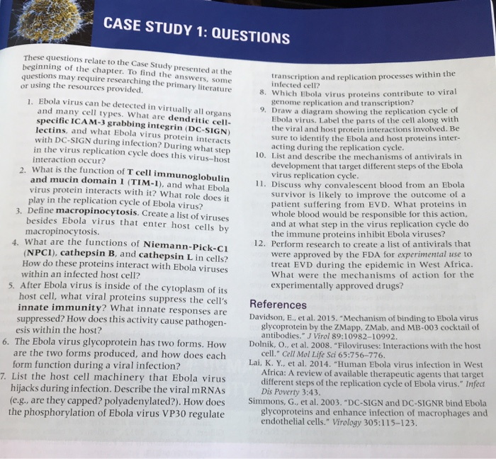 Case study answers examples picture