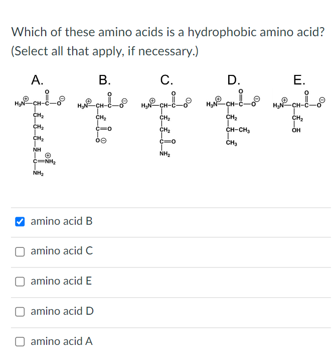 Solved Which of these amino acids is a hydrophobic amino