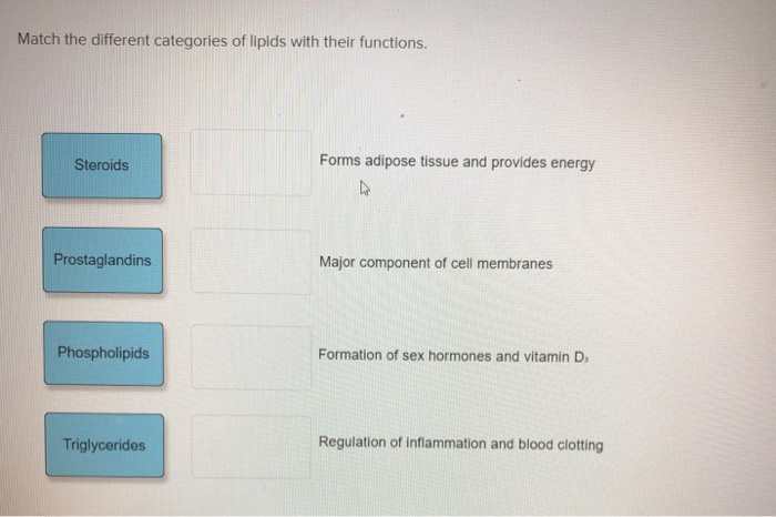 Solved Match the different categories of lipids with their | Chegg.com