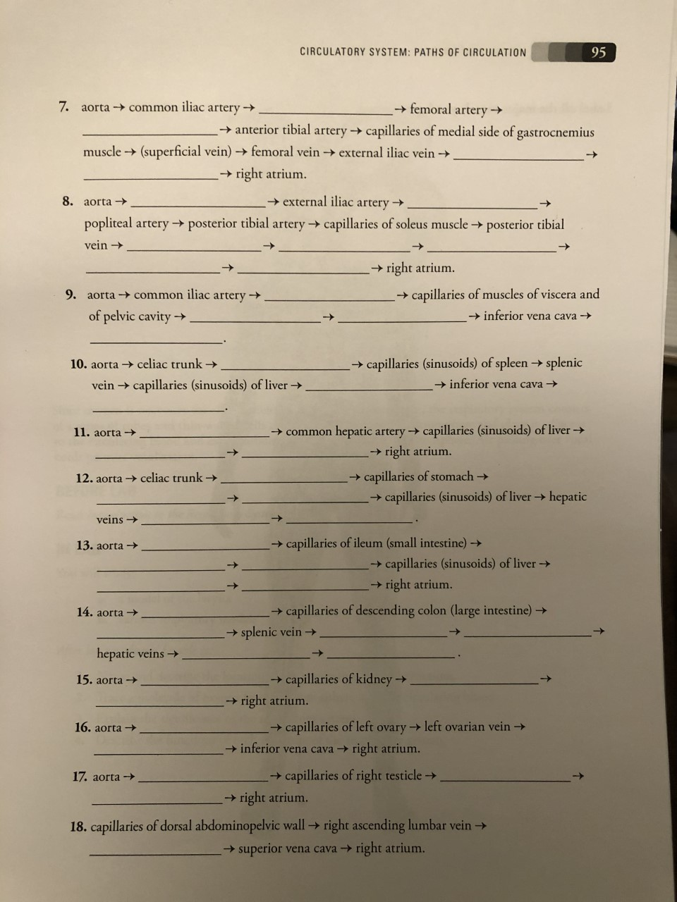 Solved 94 HUMAN ANATOMY Learn the names of the major | Chegg.com