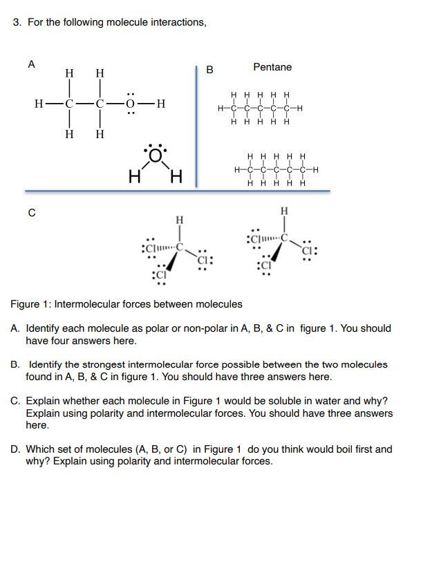 Solved 3. For the following molecule interactions, А Pentane | Chegg.com