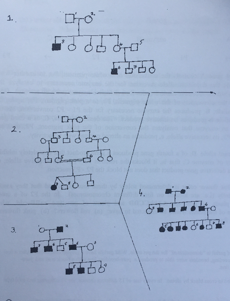 Solved Explain the pattern of inheritance and write in the | Chegg.com