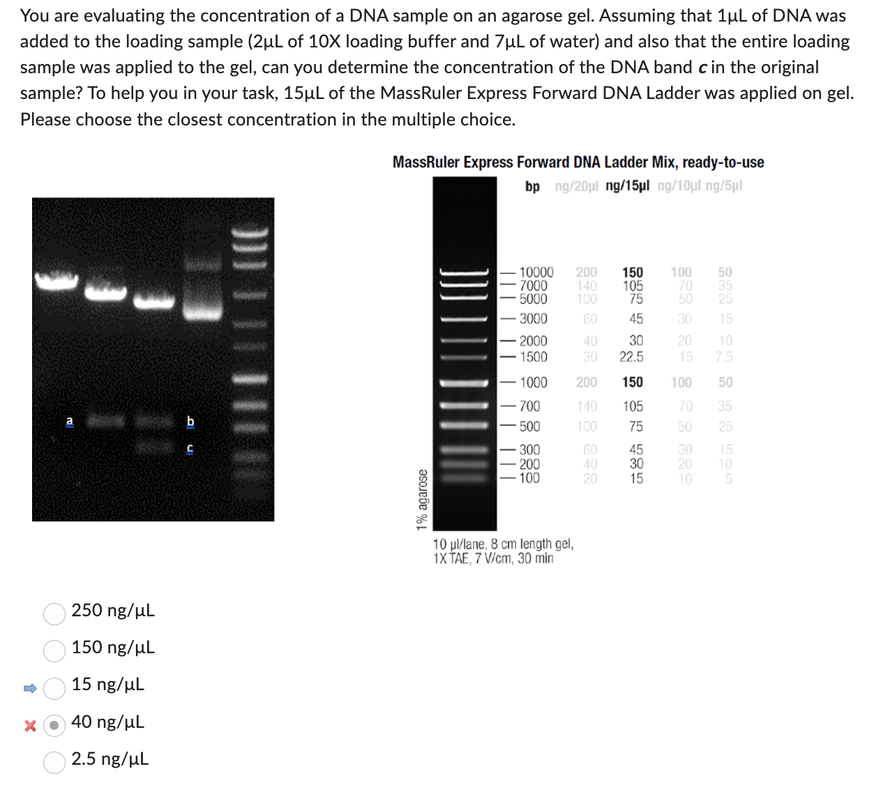 Solved You are evaluating the concentration of a DNA sample | Chegg.com