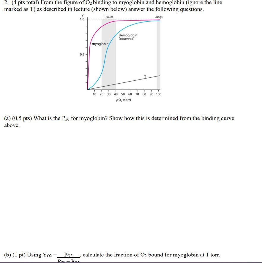 Solved 2. (4 pts total) From the figure of O2 binding to | Chegg.com