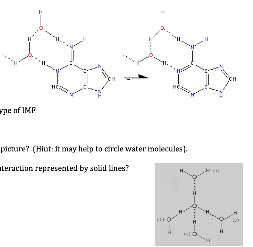 Solved The strongest IMF that non-polar covalent compounds | Chegg.com