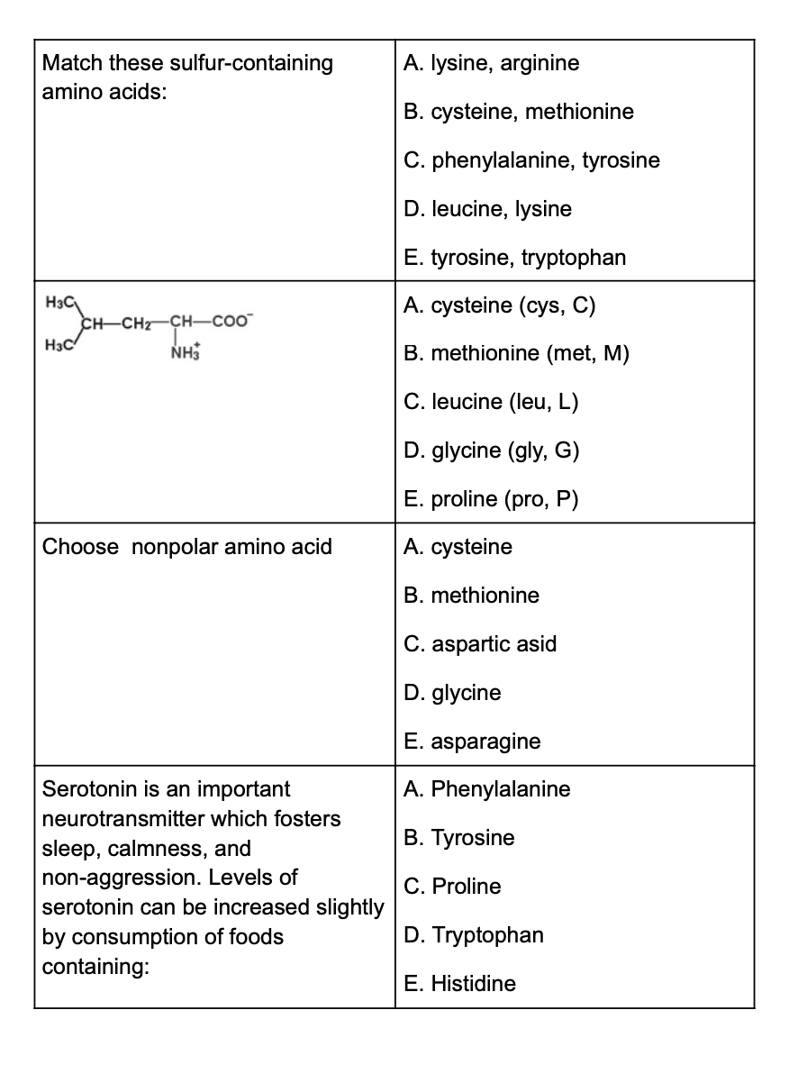BIOCHEMISTRY OF AMINO ACIDS AND PROTEINS 1.