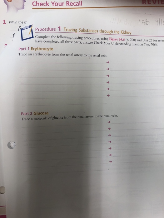 Solved Check Your Recall REVII 1 Fill in the b Procedure 1 | Chegg.com