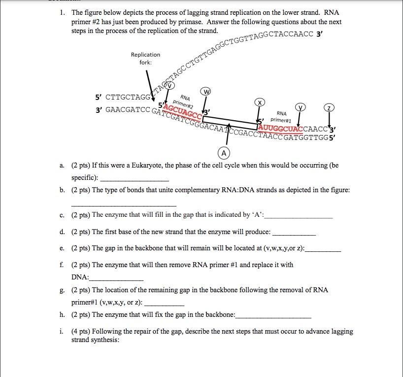 Solved 1. The figure below depicts the process of lagging | Chegg.com