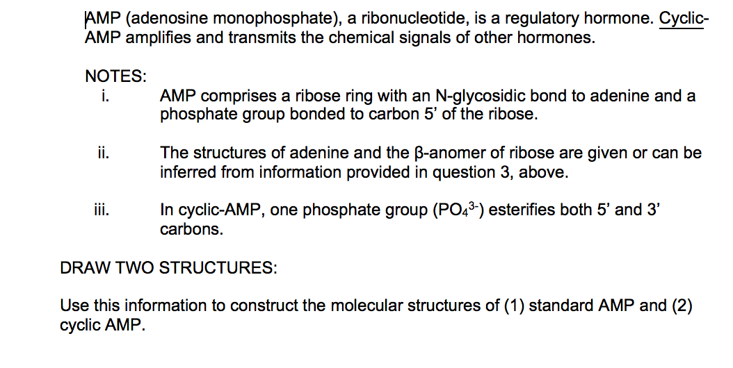 Solved AMP (adenosine monophosphate), a ribonucleotide, is a | Chegg.com