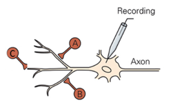 Solved Refer to Figure 1. Inputs A and B are 250 μm from the | Chegg.com