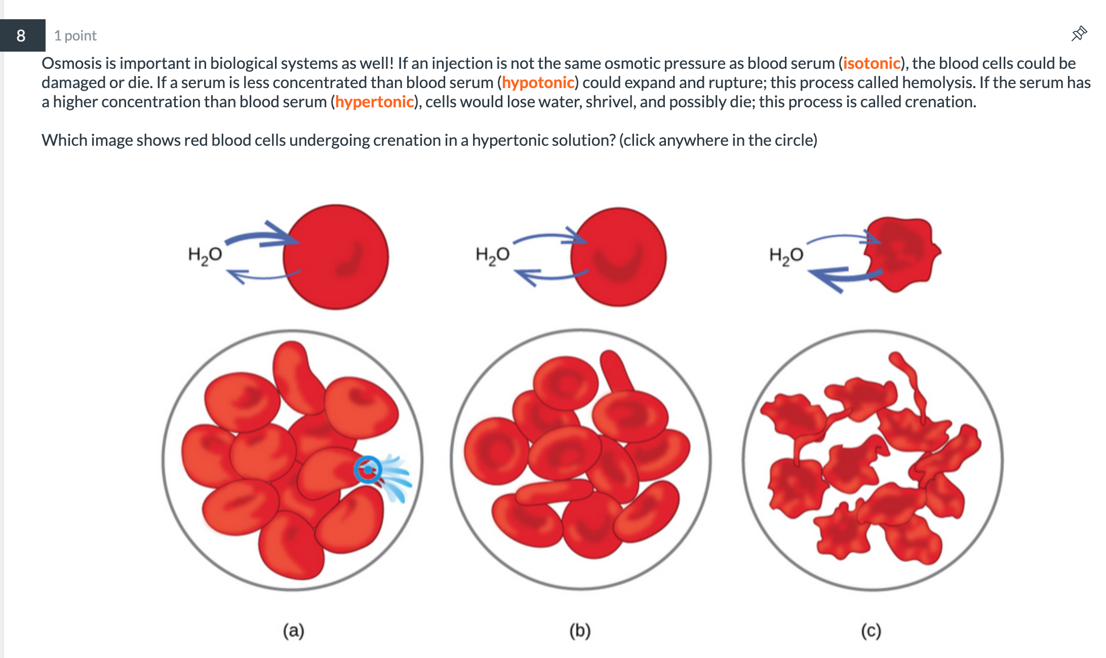 Solved 8 Do 1 point Osmosis is important in biological