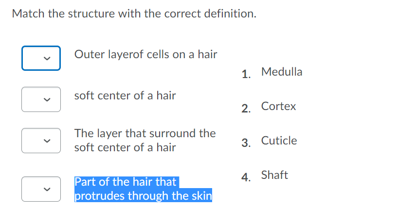 nappy hair Meaning & Origin | Slang by Dictionary.com