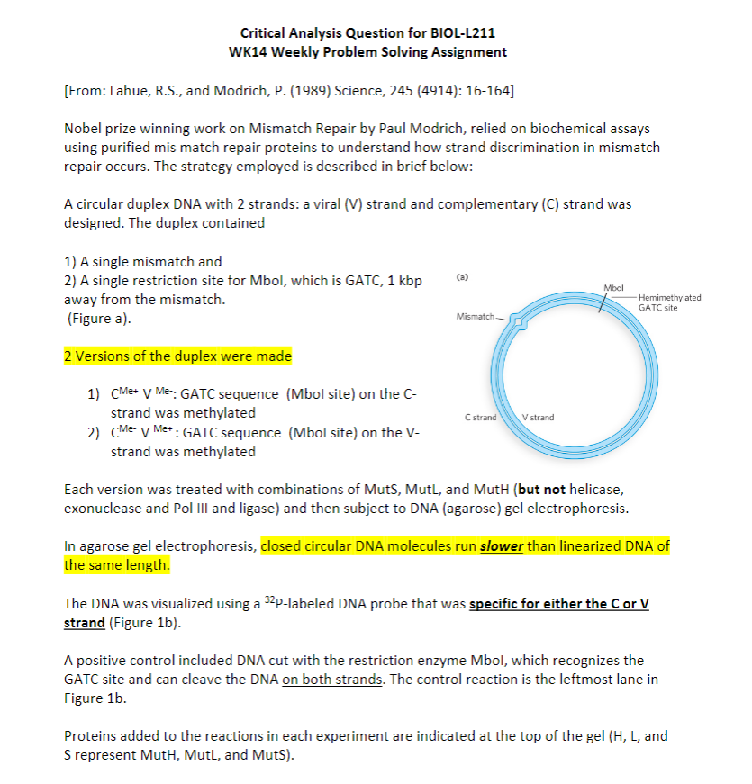 Critical Analysis Question For Biol L211 Wk14 Week Chegg Com