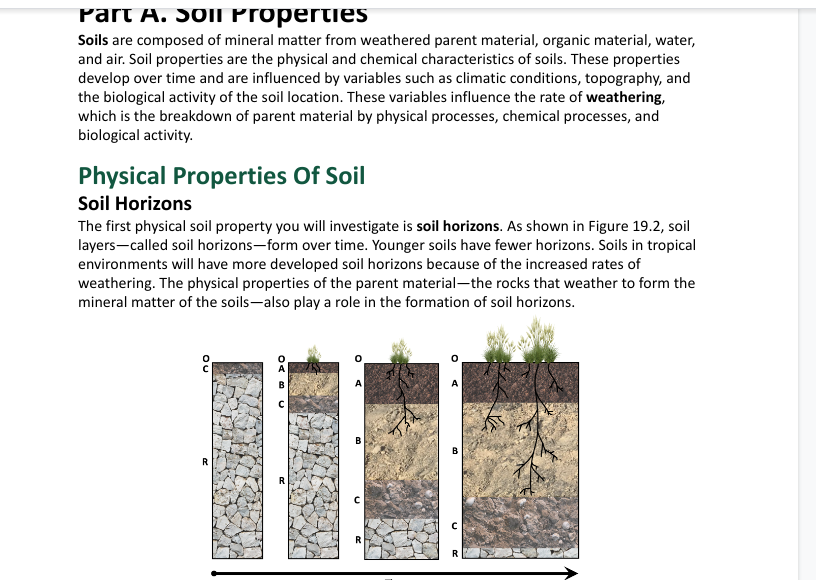 soil profile horizons