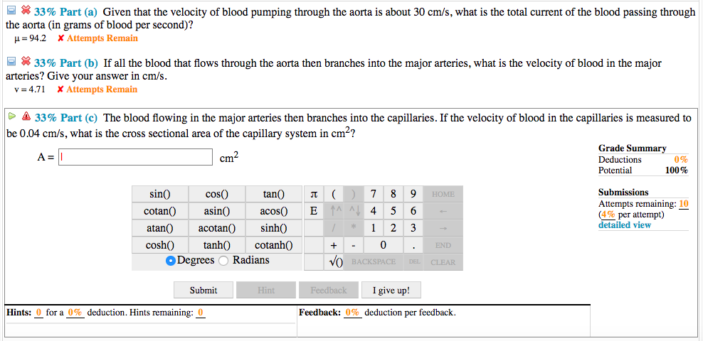 Aorta Branches Into