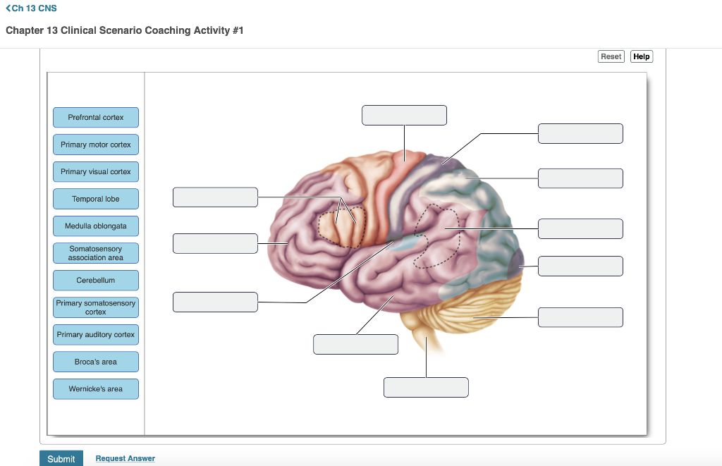 Chapter 4 Clinical Scenario Coaching Activity #1: A Comprehensive Guide