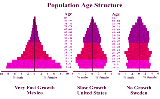 Solved What does the shape of each age-structure diagram | Chegg.com