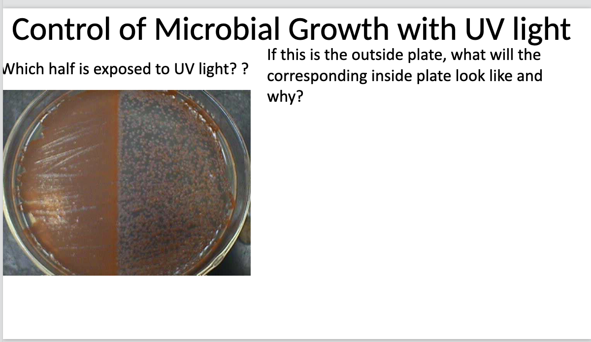 Solved Control of Microbial Growth with UV light If this is | Chegg.com