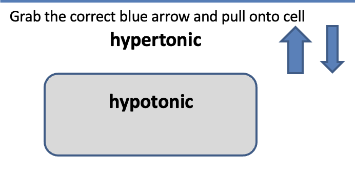 Solved Grab the correct blue arrow and pull onto cell | Chegg.com