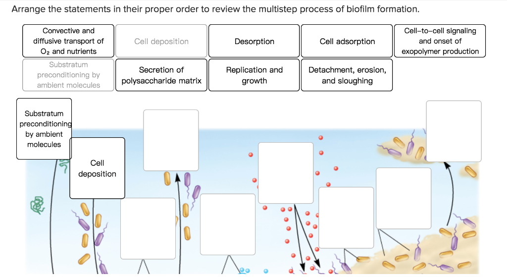Solved Arrange the statements in their proper order to | Chegg.com