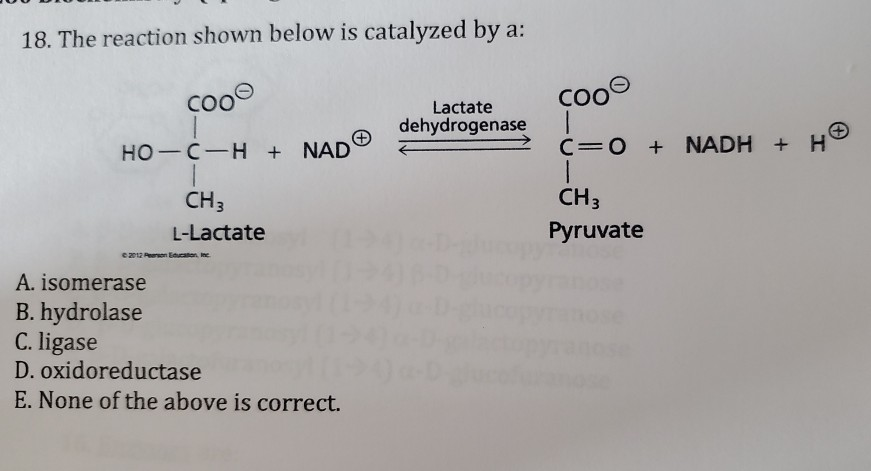 Solved 17 The Reaction Shown Below Is Catalyzed By A So Chegg Com