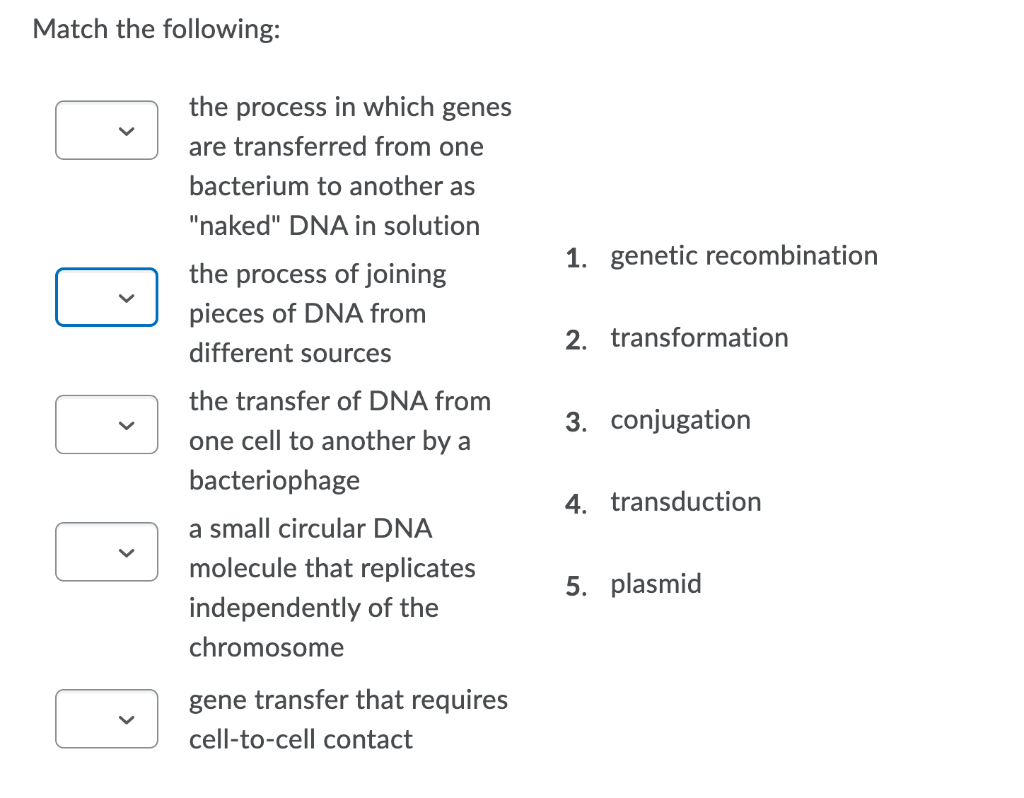 Solved Match The Following: 1. Genetic Recombination 2. | Chegg.com