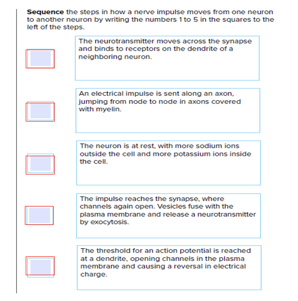Solved Sequence the steps in how a nerve impulse moves from 