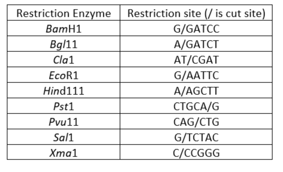 Solved Below is a table of restriction enzymes, with the