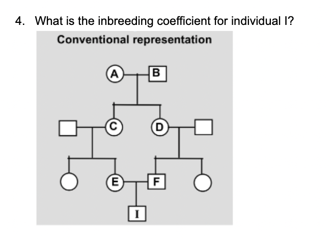 Solved 4. What Is The Inbreeding Coefficient For Individual | Chegg.com