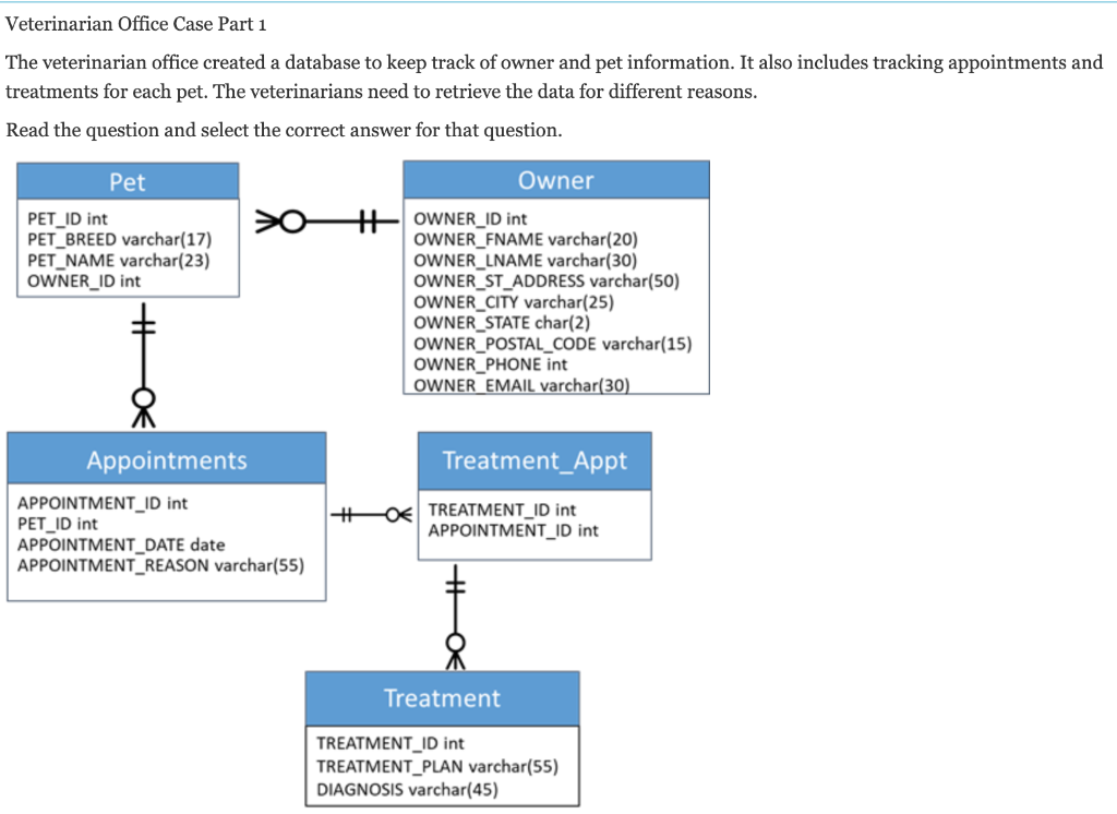Solved Veterinarian Office Case Part 1 The veterinarian