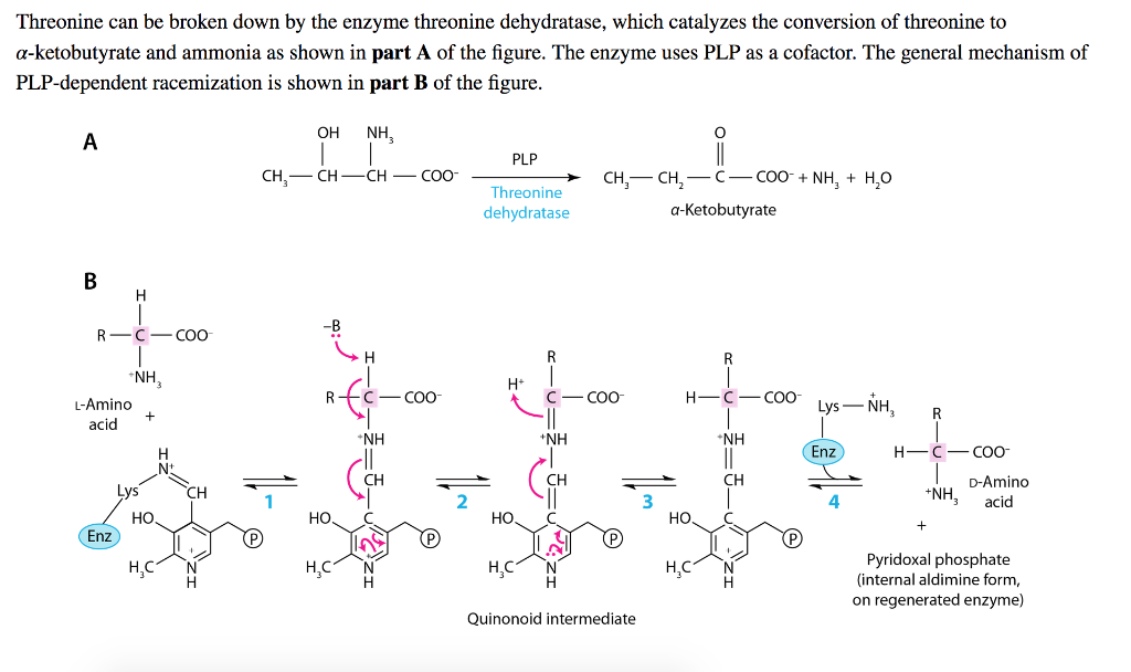 Solved Arrange The Steps In The Reaction Catalyzed By | Chegg.com