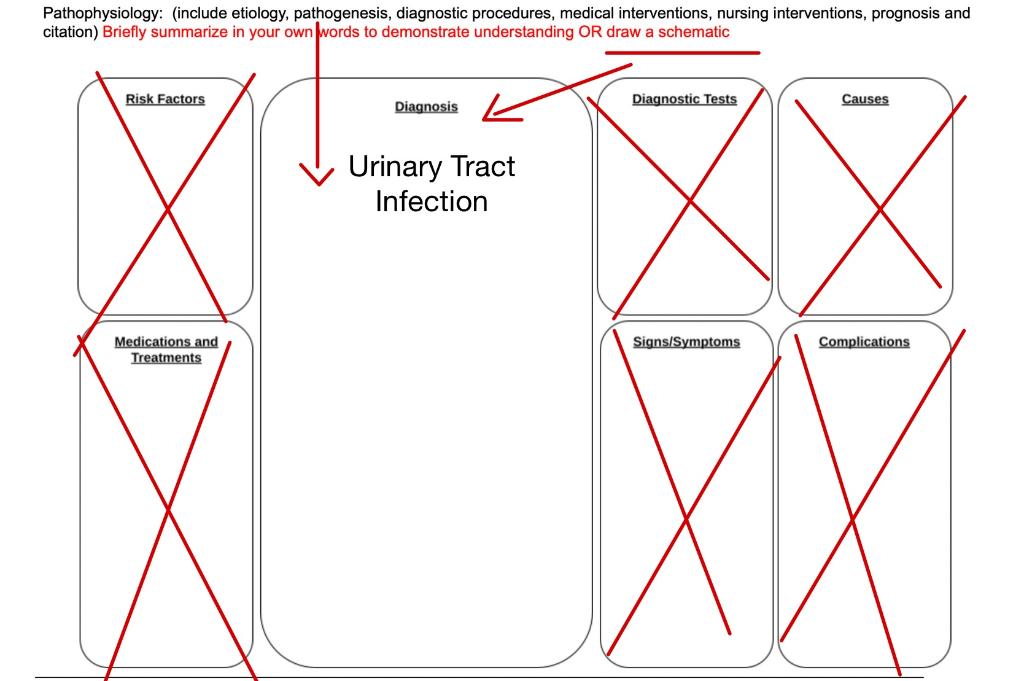 urinary tract infection pathophysiology diagram