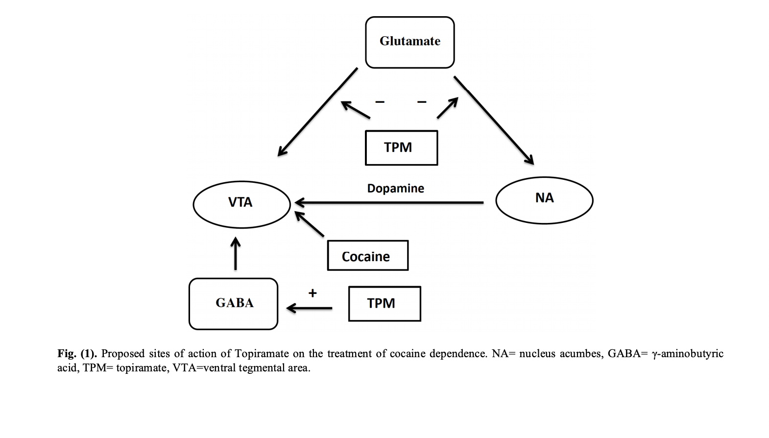 Solved Topiramate Is A New Drug That May Be Effective For Chegg Com   PhpEHxZ0S