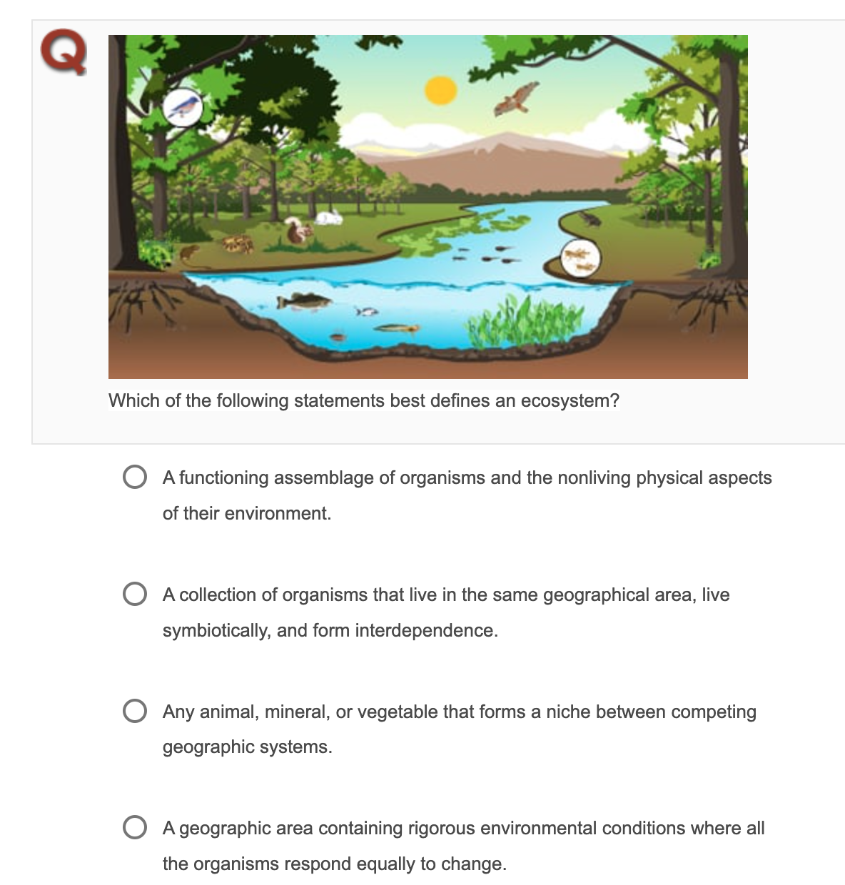 Understanding Ecosystems