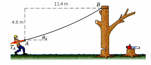 Pushing Tree Force Solved The tree surgeon attempts to pull down the | Chegg.com